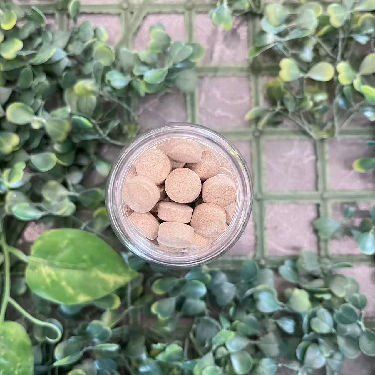 雨腾古茶 北X和“ Q 10 ”J华 绝S 60g/罐（12月25）