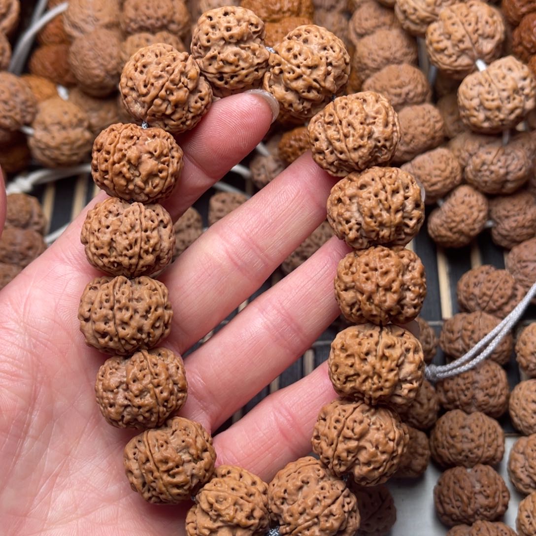 菩提尼泊尔大金刚梅花蜂窝双龙21