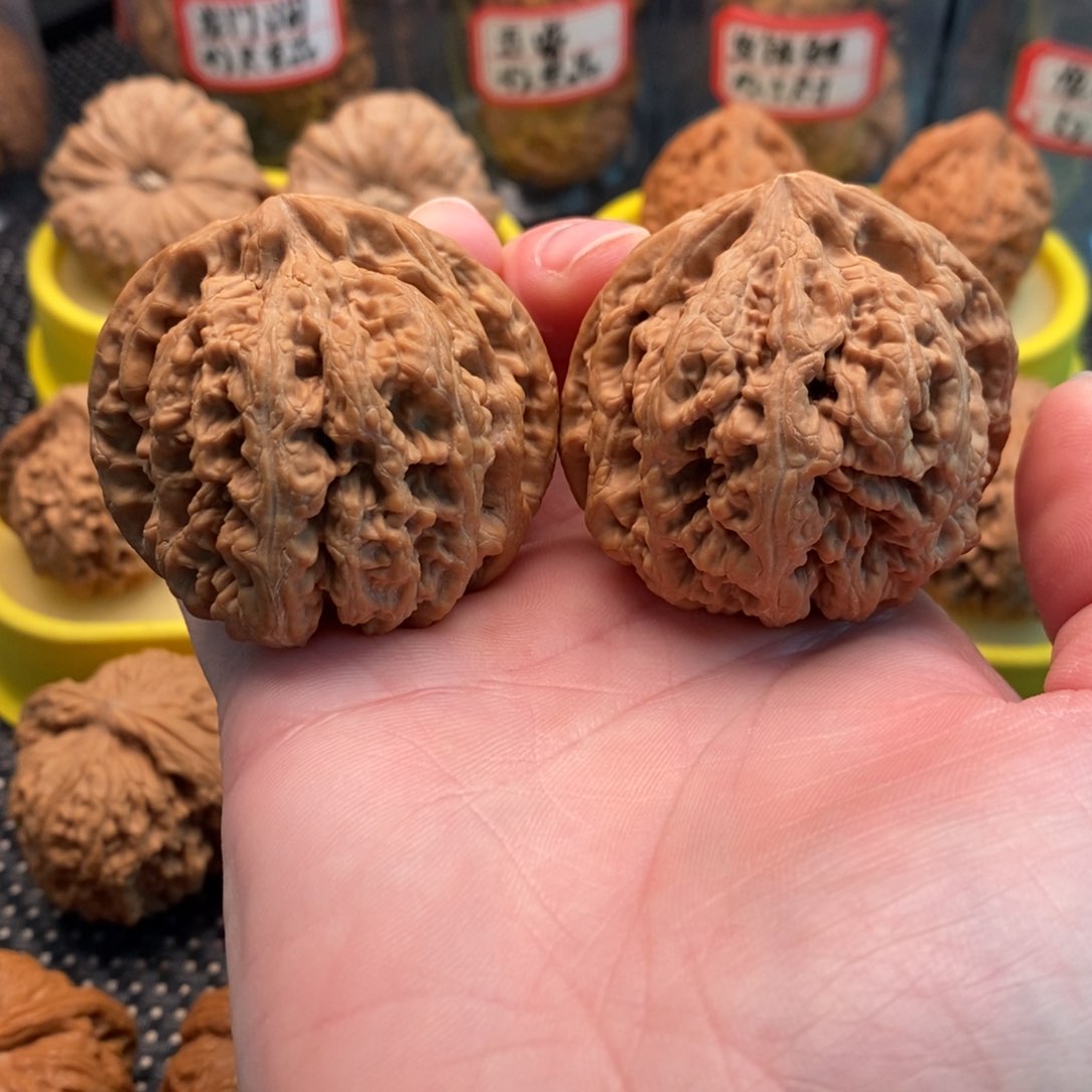 橄榄核手串/手链春*大粗筋