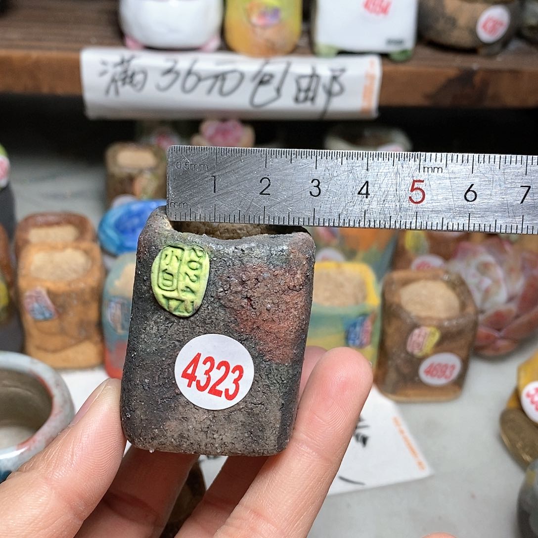 红陶拍5送一个小