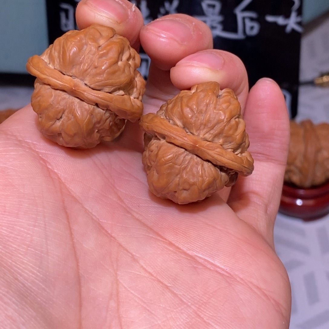 32尺蛤蟆头 极小尺寸手捻