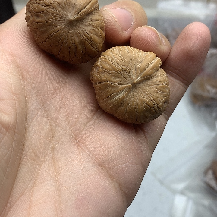 吊坠文玩核桃29 元宝一根筋