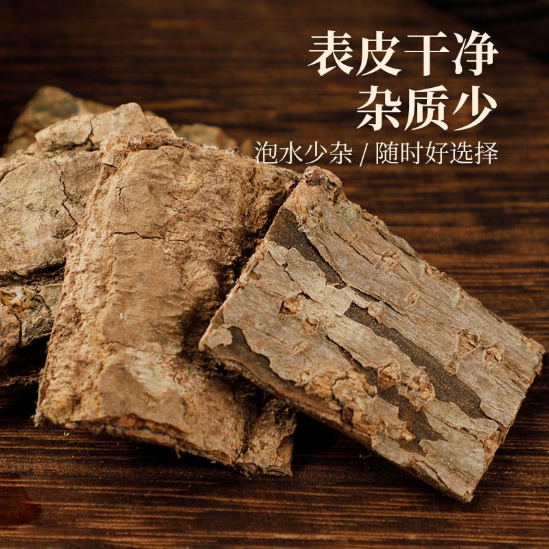 杜仲-深山环境自然生长