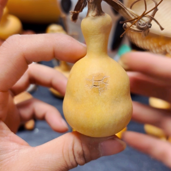 天****机8888888888888888888