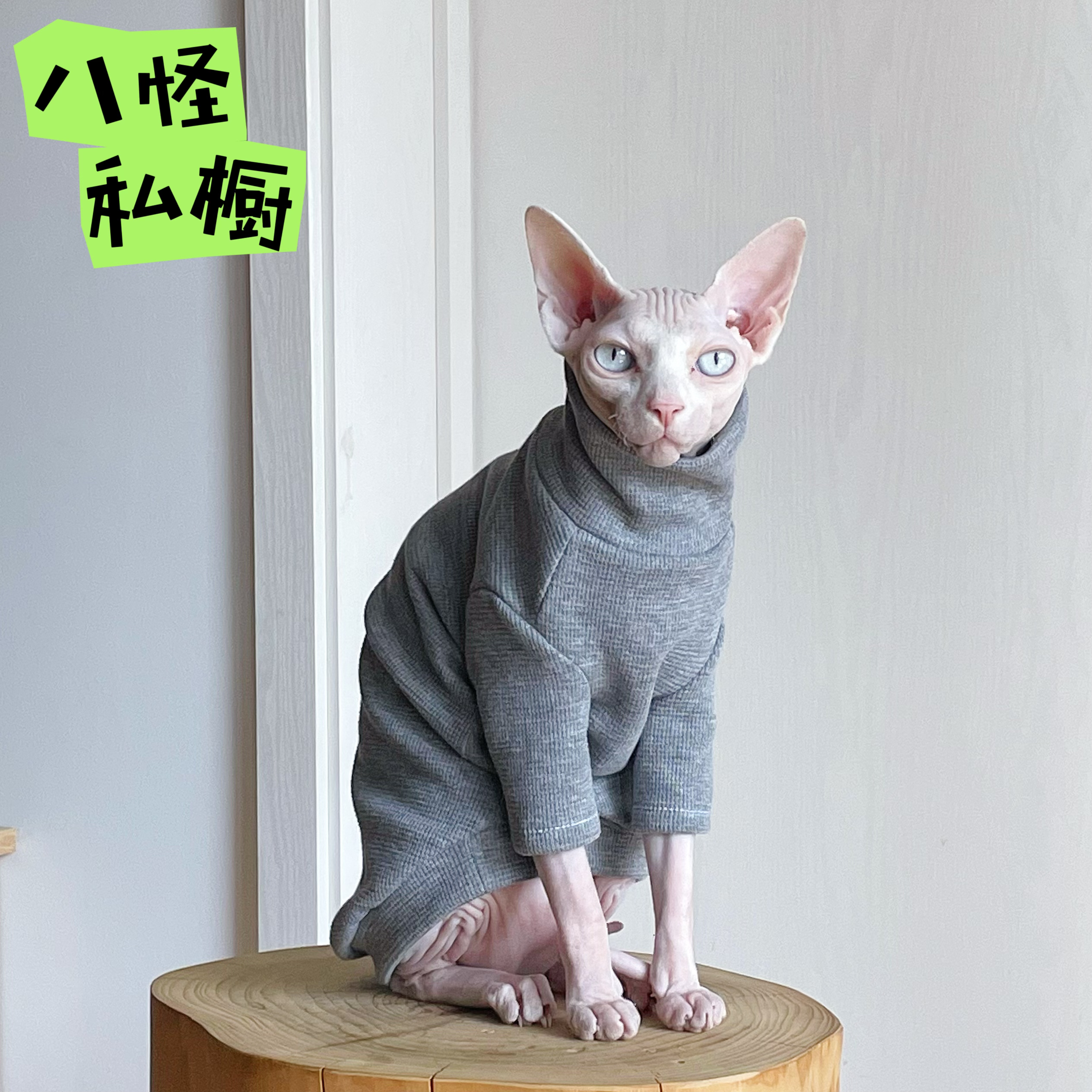 手工制作无毛猫德文猫纯棉华夫格弹力贴身透气针织高领打底衫灰