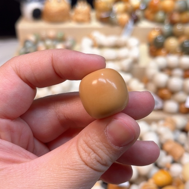 菩提根/象牙果手串象牙果单颗1-16-12