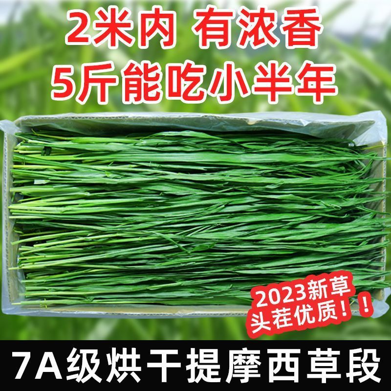 幼年提莫西草烘干晒干兔子草新草龙猫食用草兔子草粮荷兰猪豚鼠牧