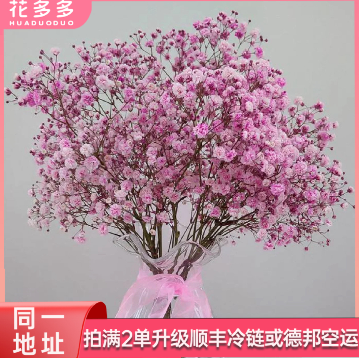 【粉色满天星】繁星散落人间 全场鲜花任意满两单升级冷链 