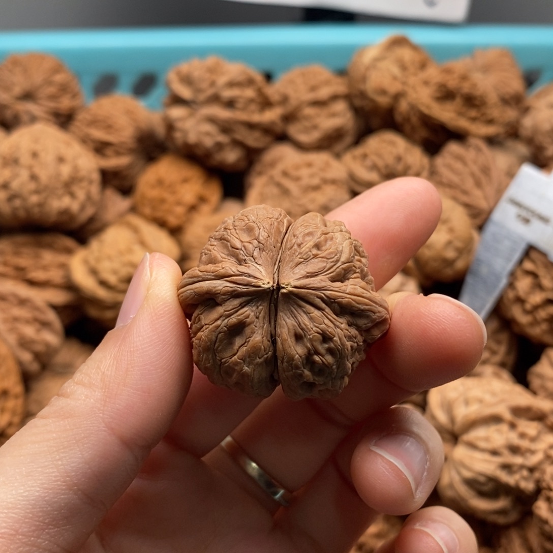 斯***虹核桃定制商品不退不换