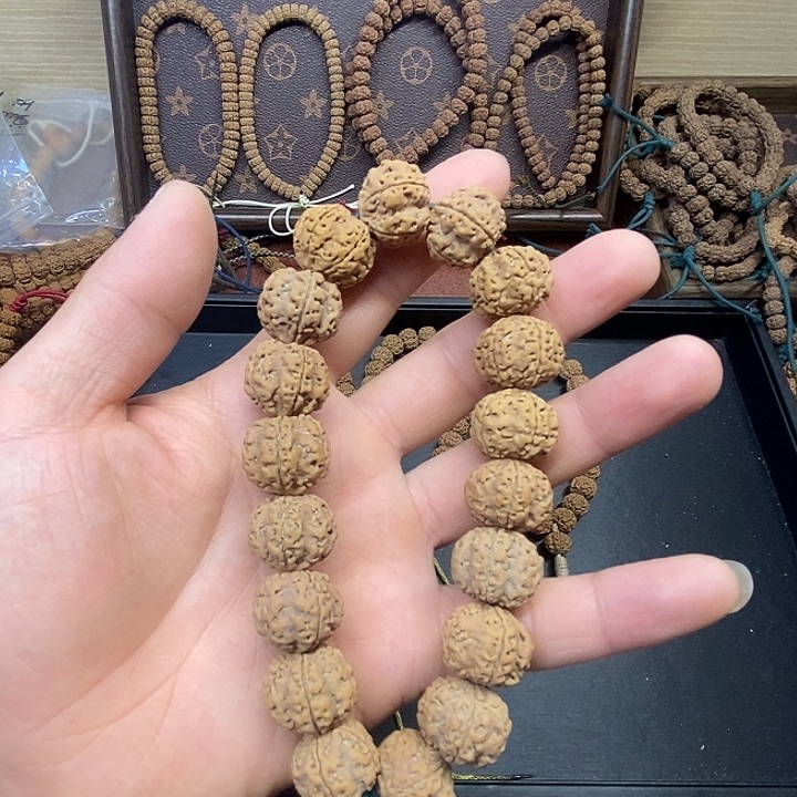 金刚菩提手串灿*宝少两颗籽的龙牙