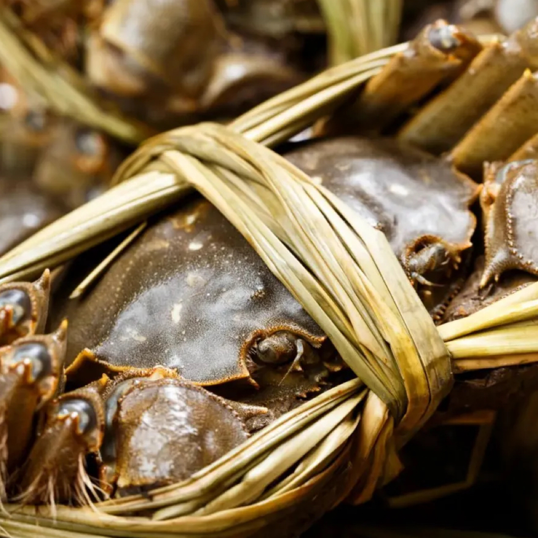 大闸蟹2.5两公蟹4只