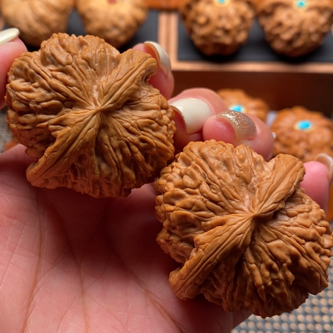 文玩核桃把件43尺寸大肚子白狮子