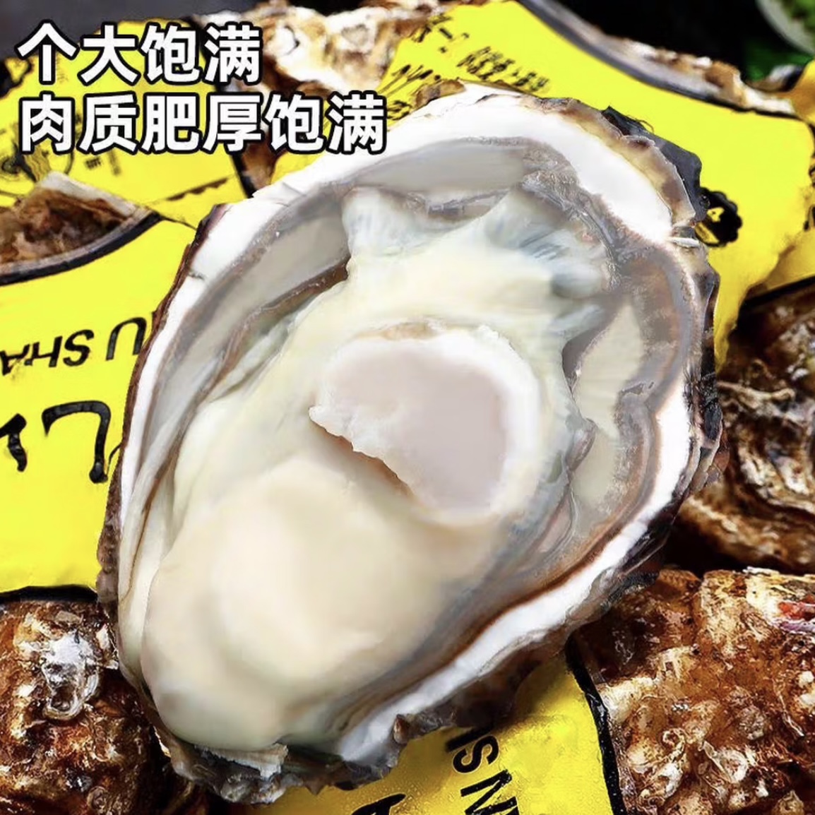 鲜活生蚝生鲜海鲜水产1KG