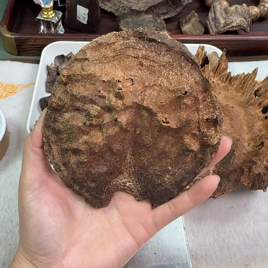 沉香碎屑沉香海南铁头老料20g
