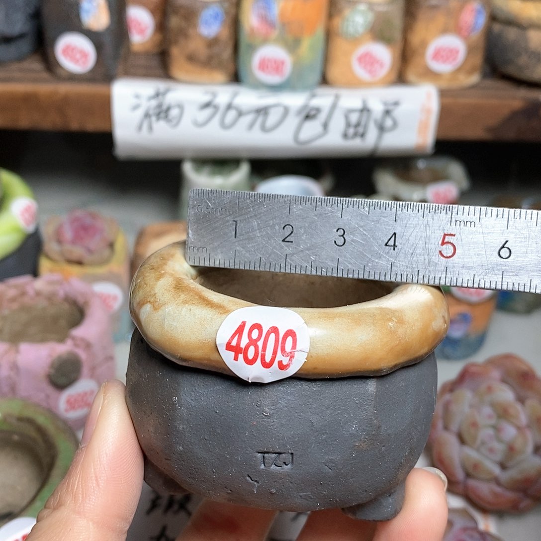 红陶拍5送一个小