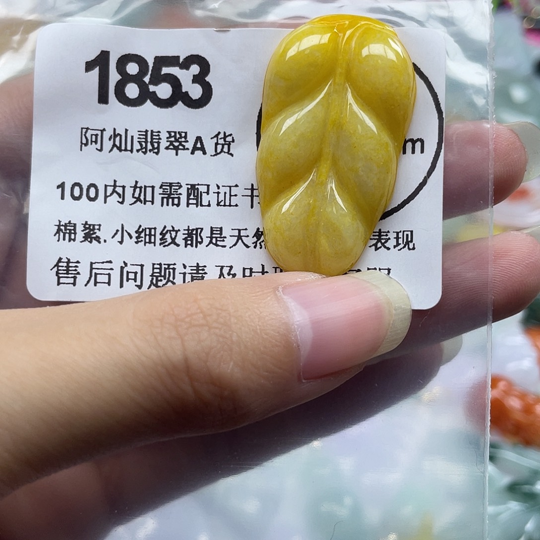 翡翠未镶嵌吊坠(赠链)