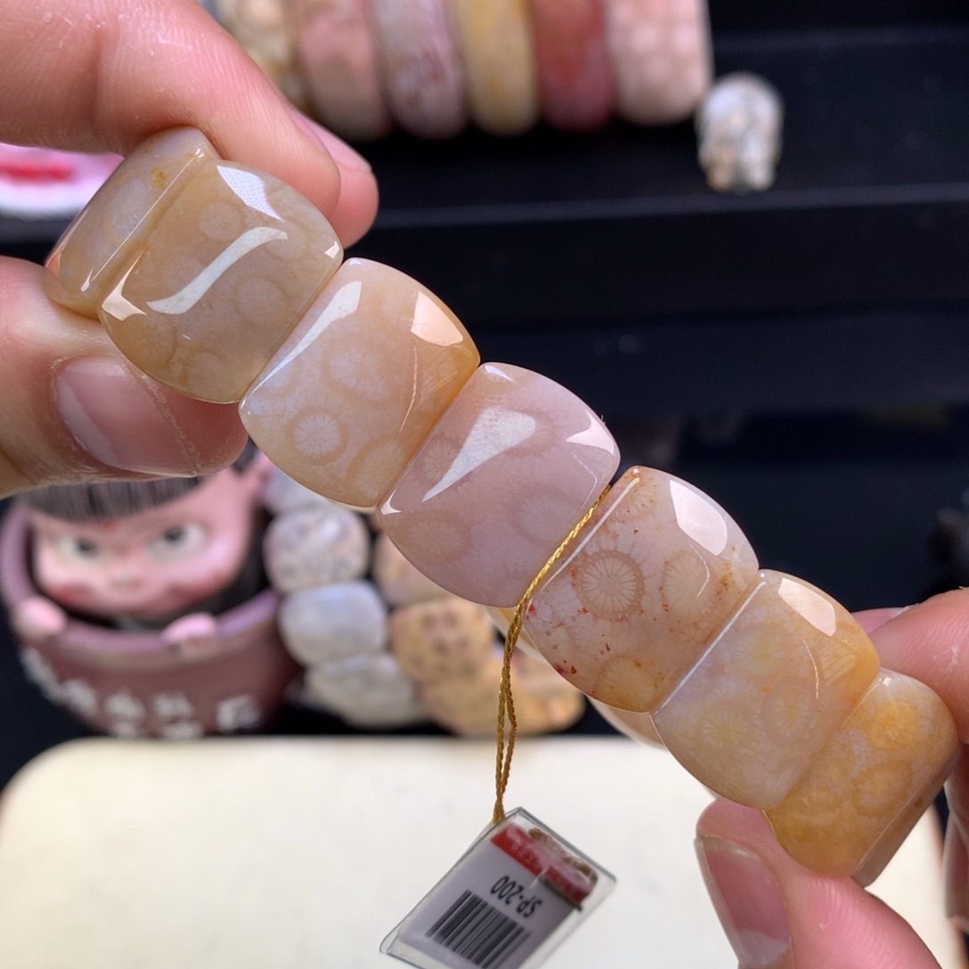 硅化珊瑚（珊瑚玉）未镶嵌颈饰11号果冻豹纹