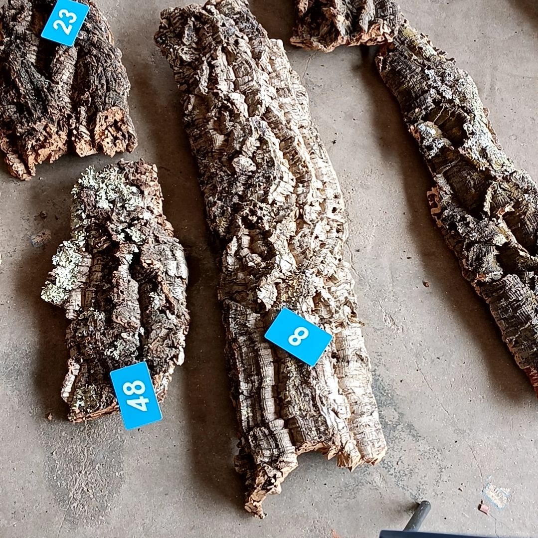 木一物一拍一物一发