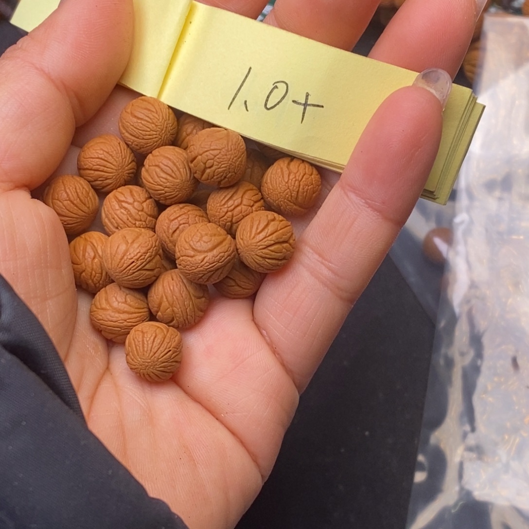 -***达秦岭龙纹桃核25颗