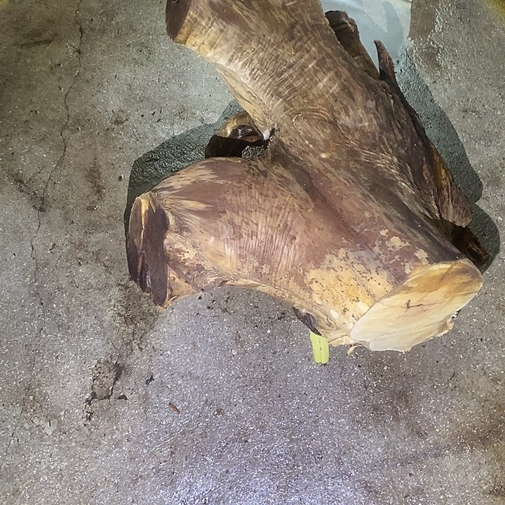 梵***阁其他楠木（金丝楠）