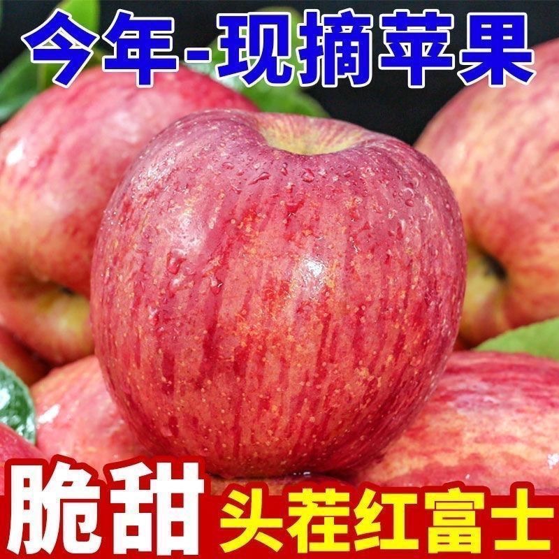 山东正宗红富士苹果新鲜应季脆甜多汁