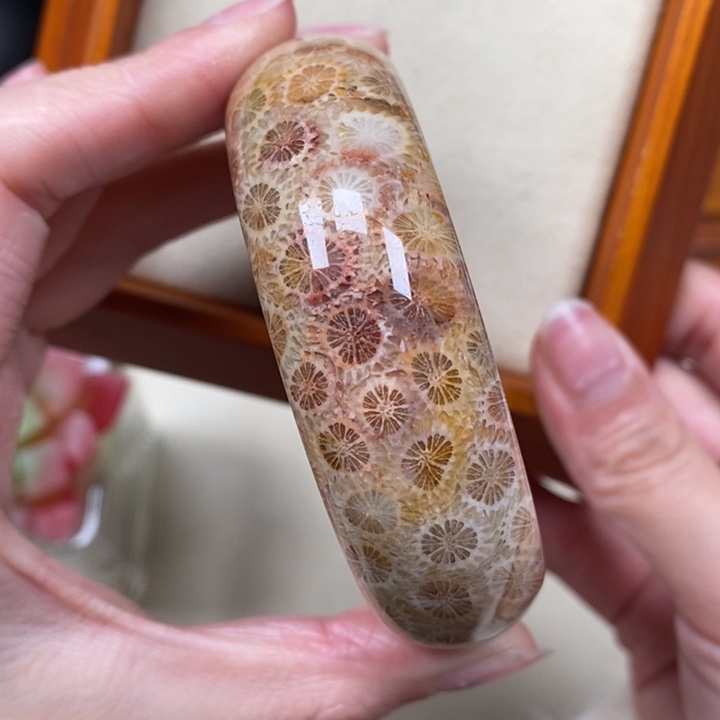 硅化珊瑚（珊瑚玉）手镯未镶嵌55.2