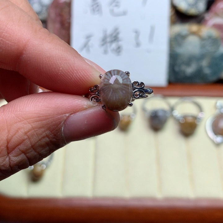 硅化珊瑚（珊瑚玉）颈饰未镶嵌