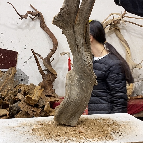 大***悠柏木我们都是好孩子