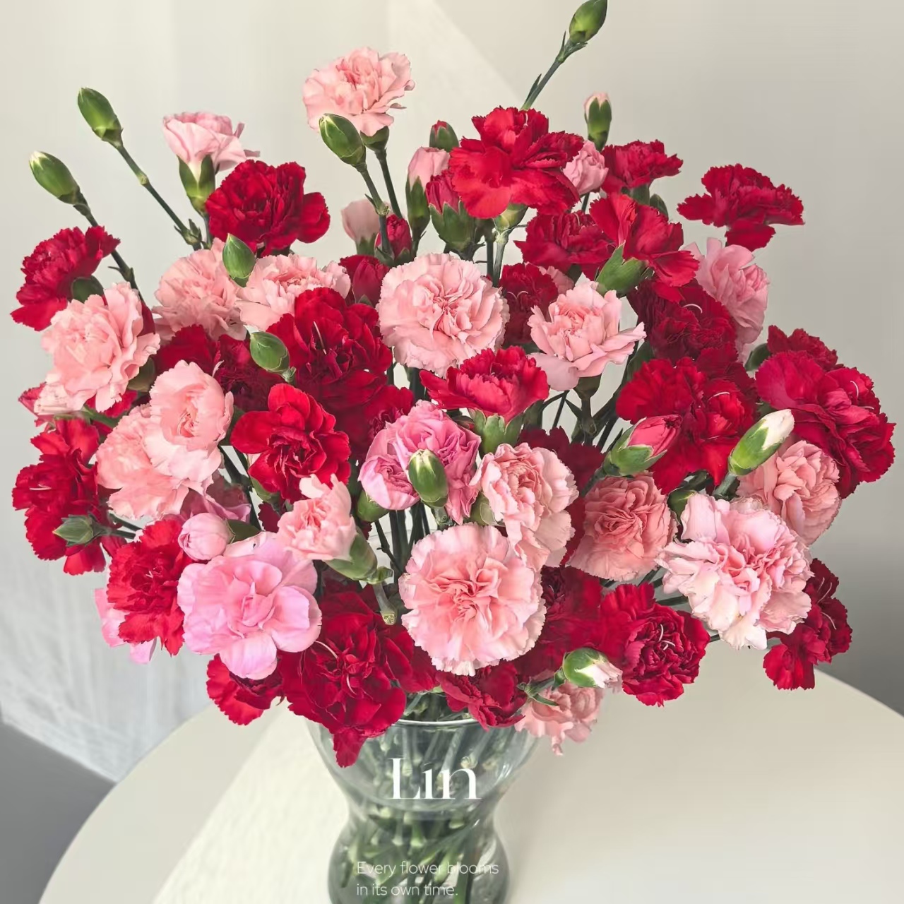 【多头康乃馨80枝随机色】云南基地直发