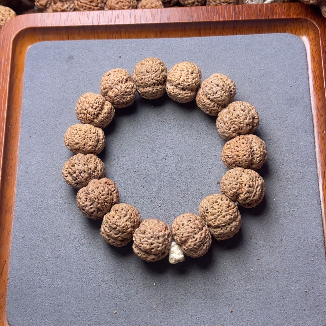 菩提籽类4号金刚菩提菠萝蜜21+