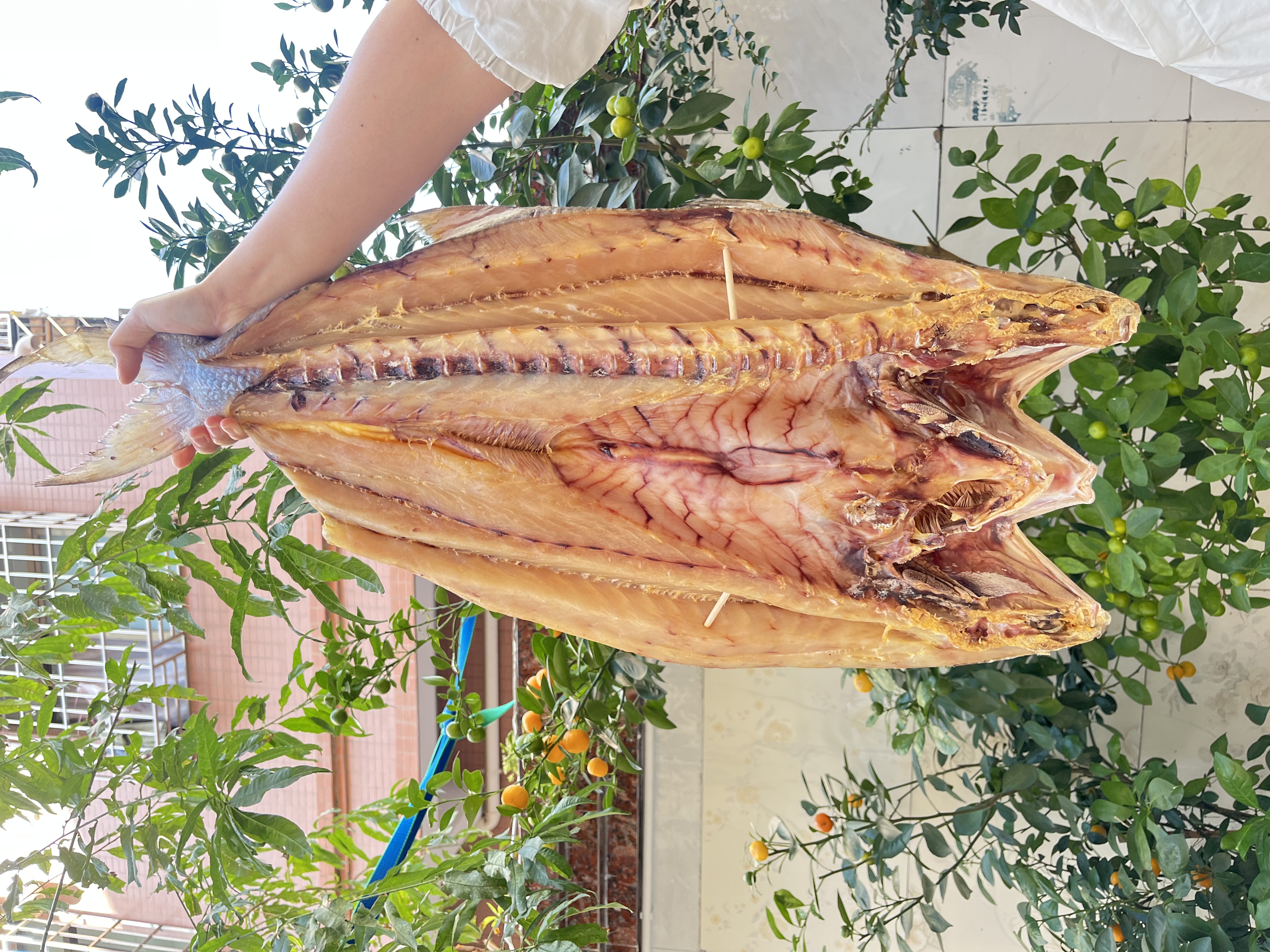 马友鱼干肉友鱼干海鱼干肉多刺少红烧焖焗送礼