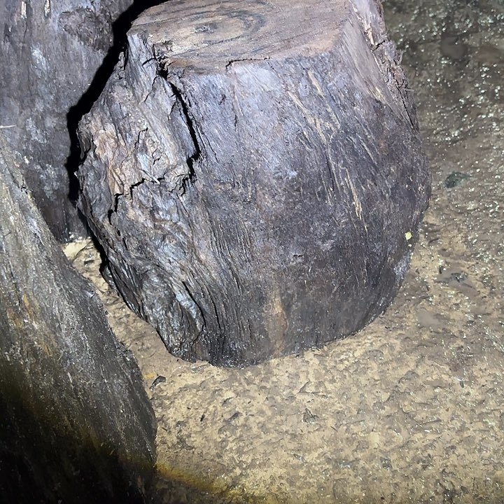 墨***G金丝楠金丝楠阴沉木