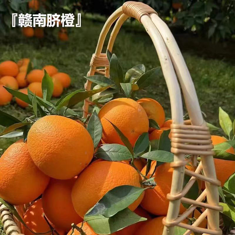 【开播福利】江西赣南脐橙皮薄果香脆嫩自然熟酸甜可口新鲜采摘