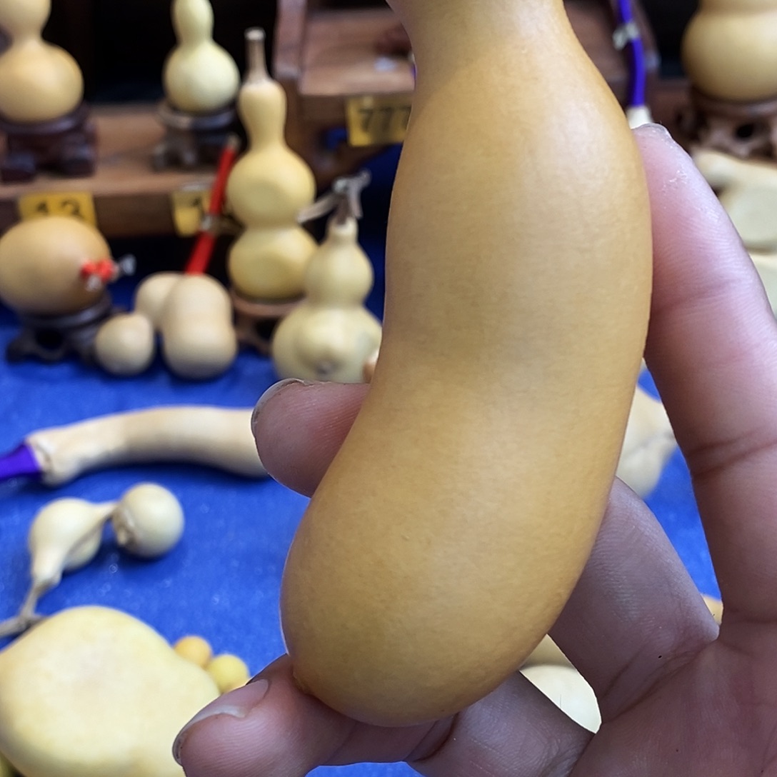 蚂***黑有机玻璃111111111
