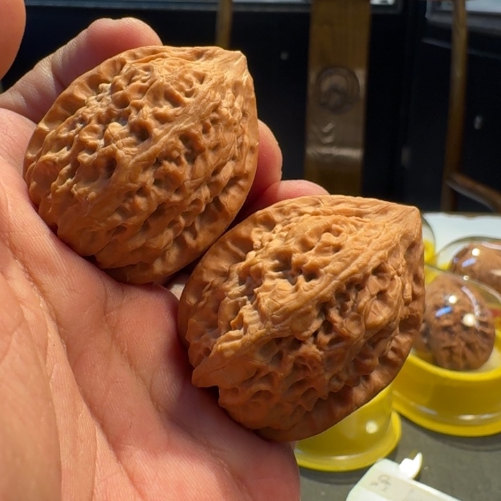 2025核桃季精品沈鸡34