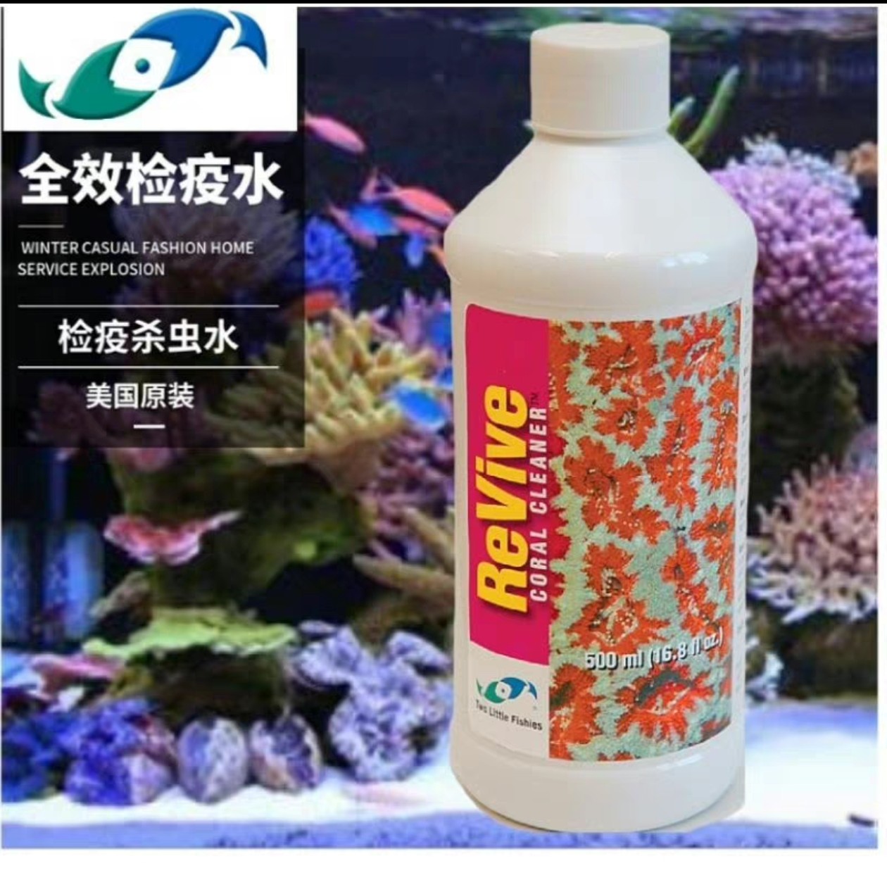 两只小鱼入缸检疫药水，去除海兔扁虫