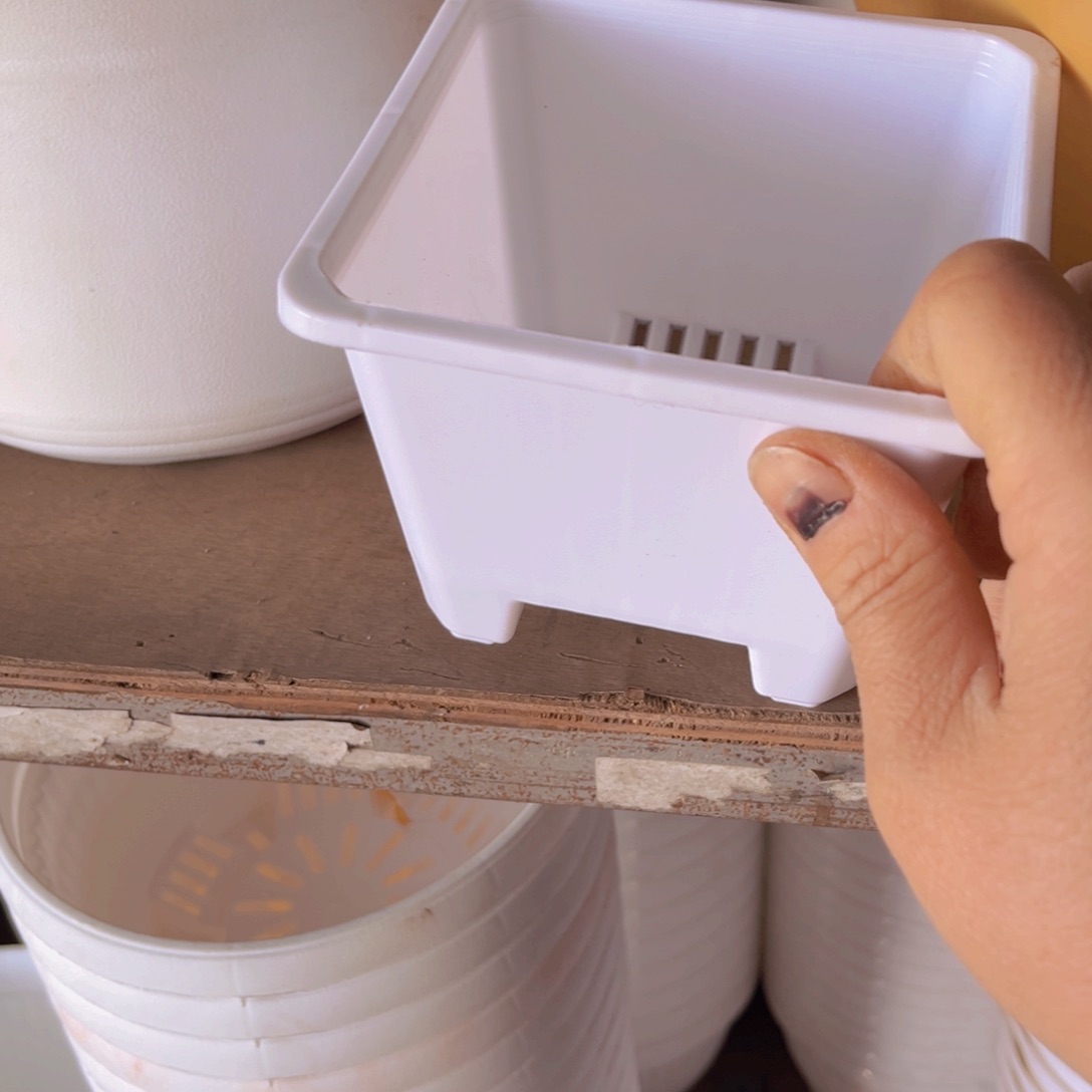 塑料12公分高9。白方加厚定制款 20个