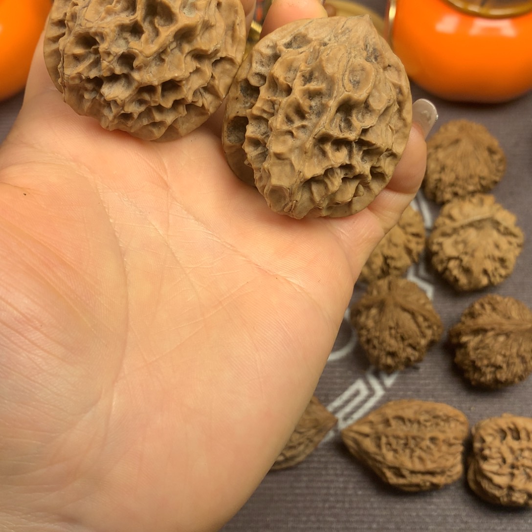 秦岭山脉和秦岭山之间