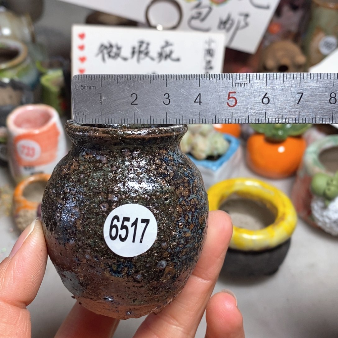 拍5送一个小礼物＇花盆