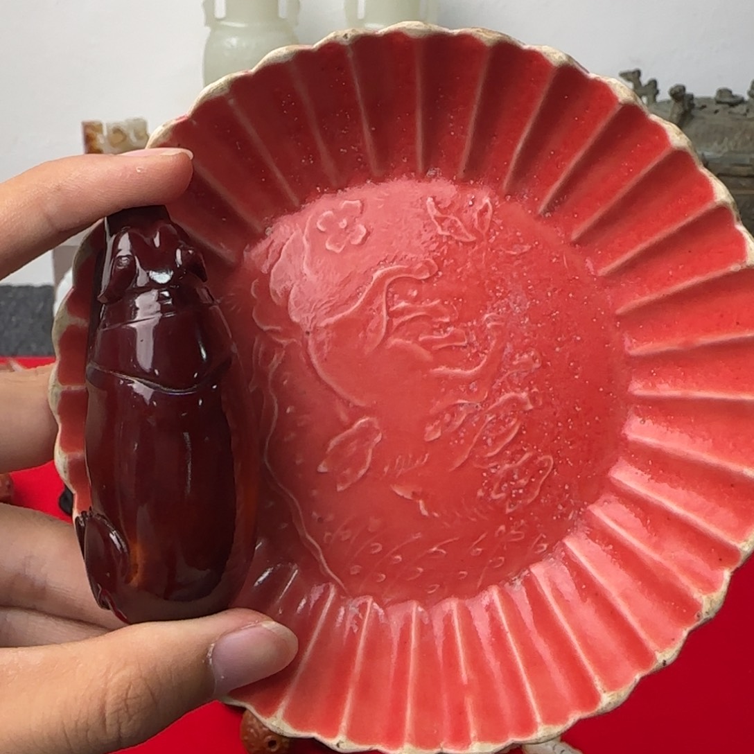 瓷片正在直播中的小