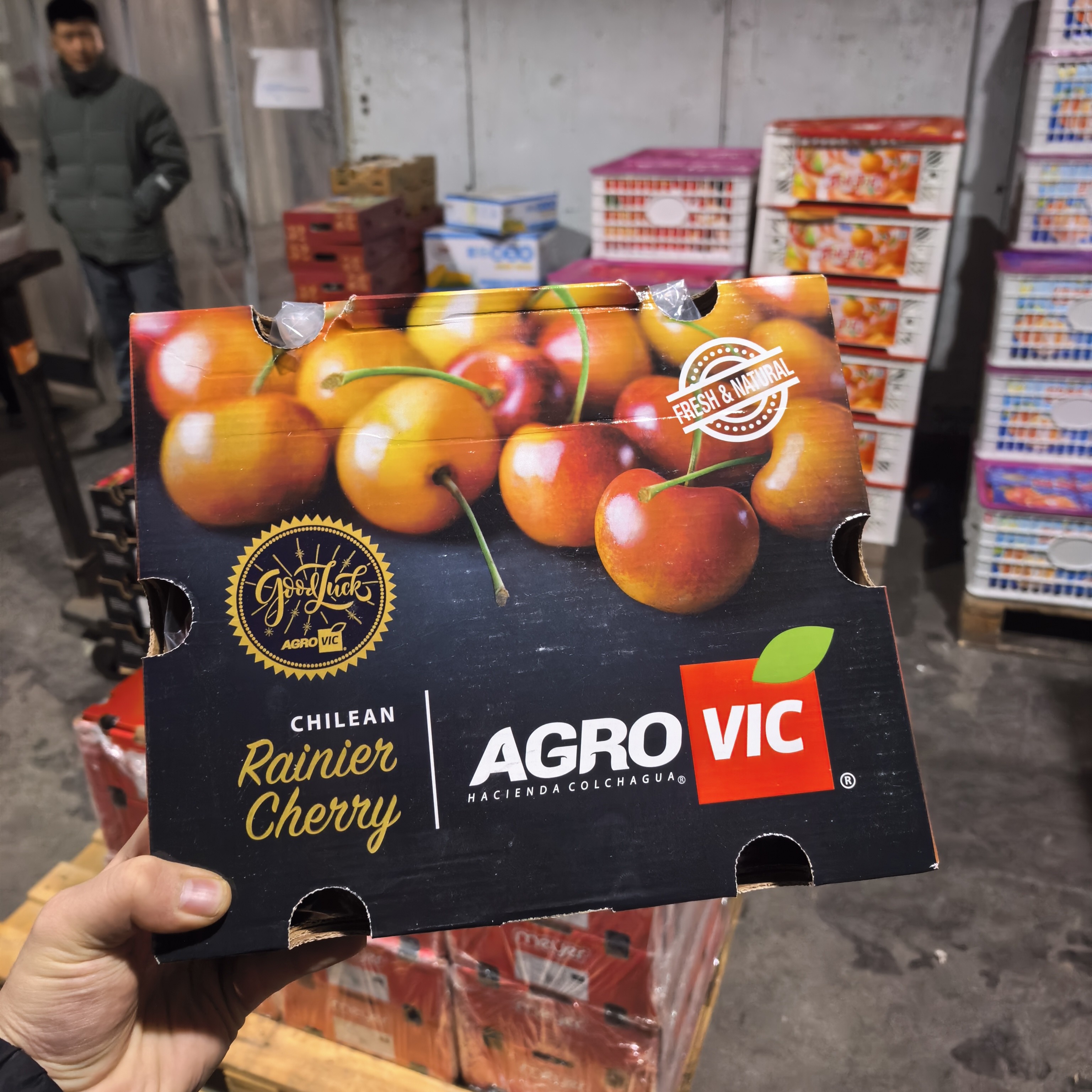 4JJJJ雷尼尔黄车厘子空运4.4斤智利