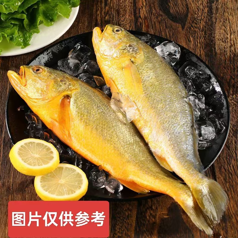 【到手3条 JD包邮】鲜活速冻黄花鱼无冰黄花鱼肉厚鲜美 单条6-7两