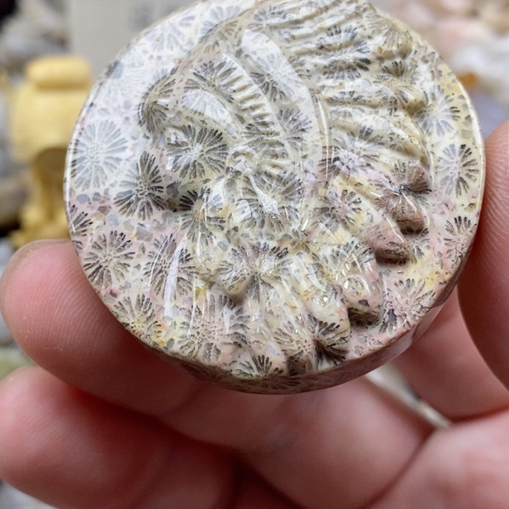 颈饰未镶嵌硅化珊瑚（珊瑚玉）