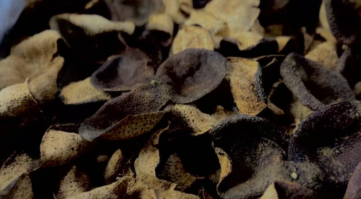 新会梅江陈皮 金丝狗楠皮100克