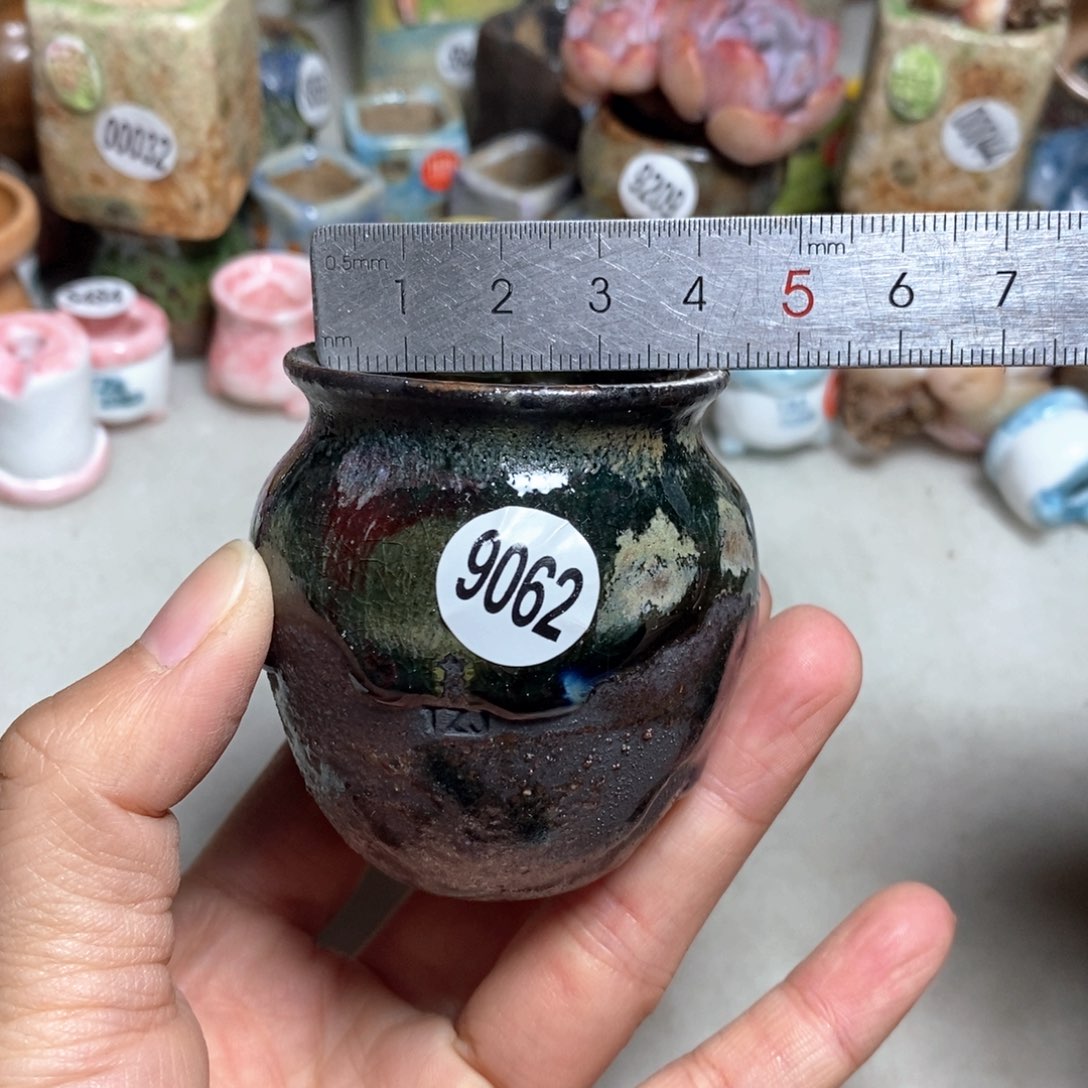 拍5送一个小礼物