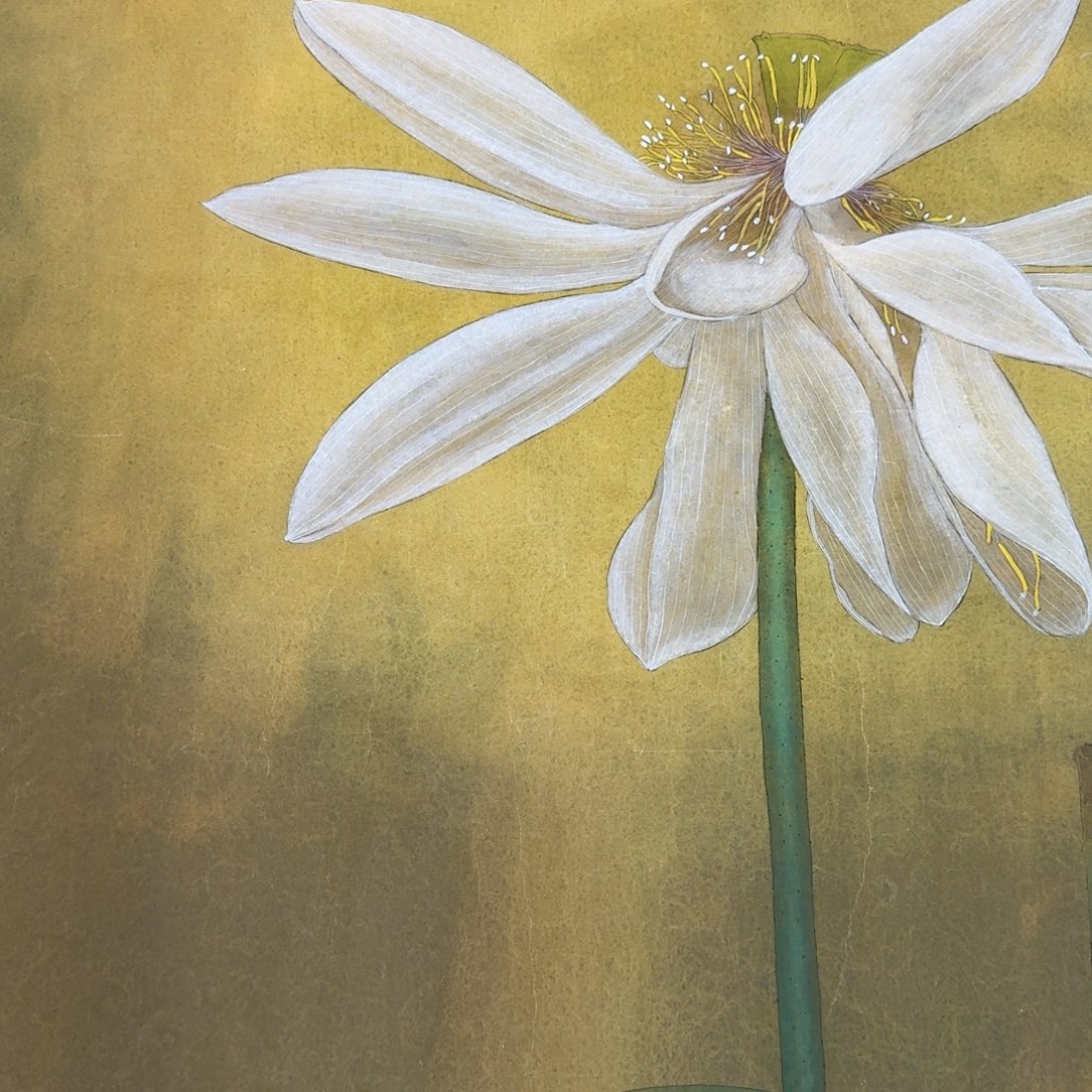 国画国画作品山水花鸟