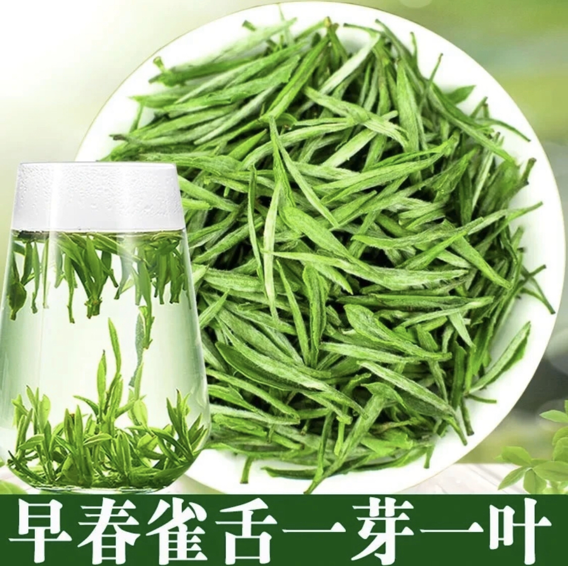 2025新茶雀舌绿茶茶叶500克