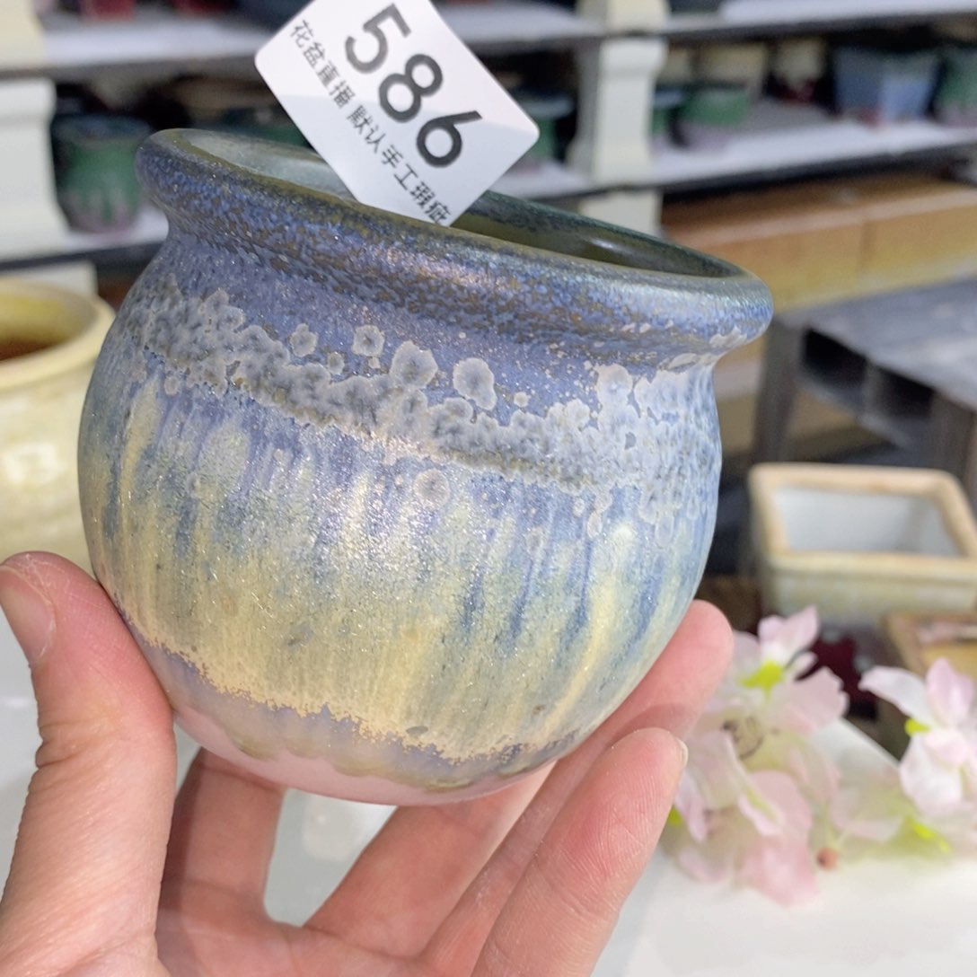 花盆花盆花盆花盆