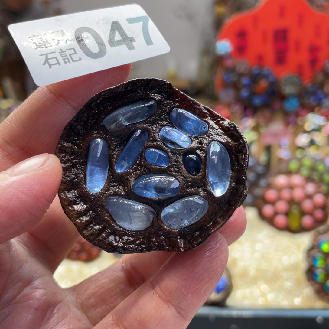 核桃木/黑胡桃（胡桃木）047