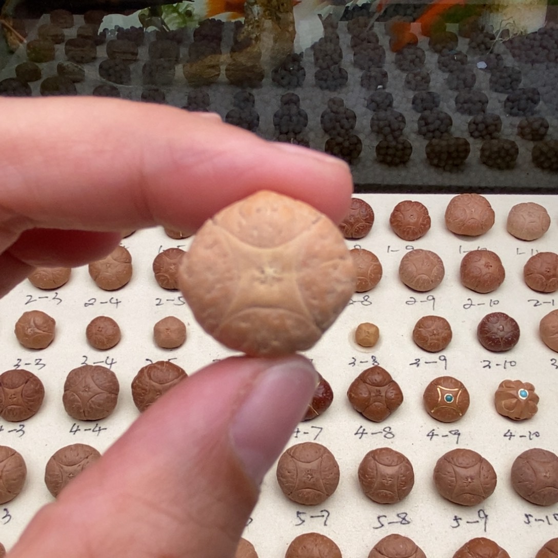 猫***弦凤眼菩提吊坠麒麟